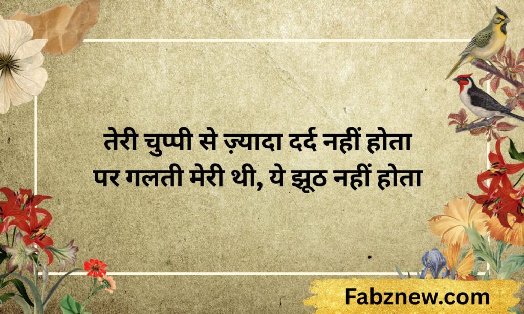 Hurt Sorry Shayari