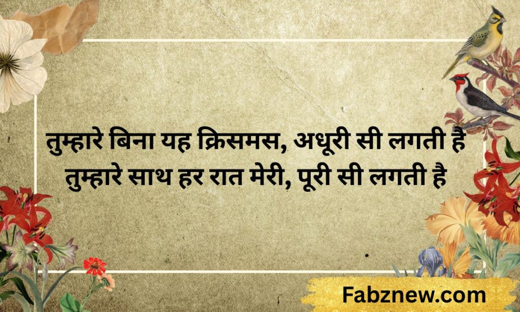 Love Merry Christmas Shayari in Hindi