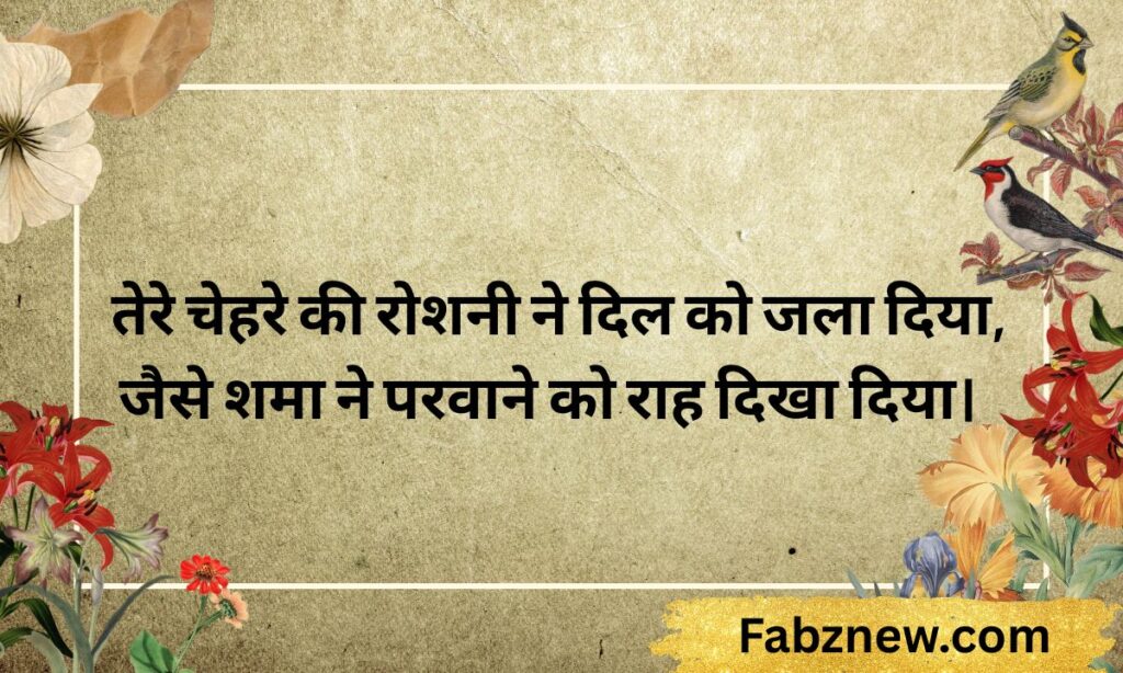 Noor Shayari in Hindi