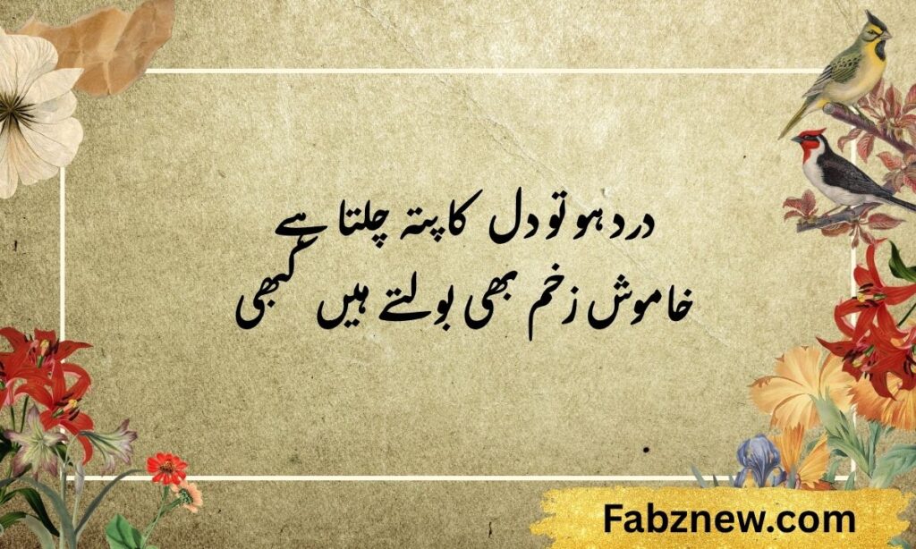 Urdu Shayari on Life by Ghalib