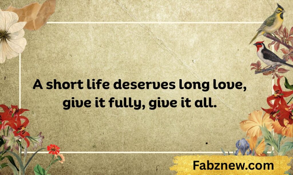 English Shayari on Life Short